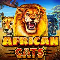 RTP Live African Cats Playtech