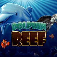 RTP Live Dolphin Reef Playtech