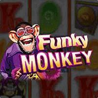 RTP Live Funky Monkey Playtech