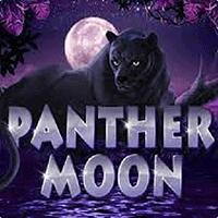 RTP Live Panther Moon Playtech